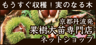 実りの楽しみ　㈲隅田農園